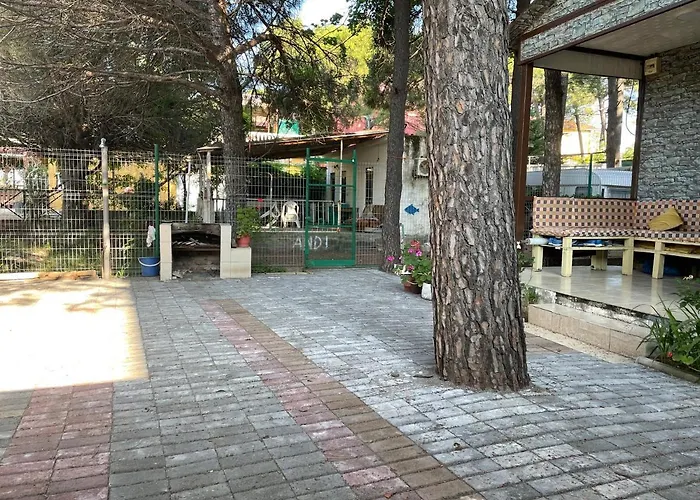 Pinehouse * Velipojë